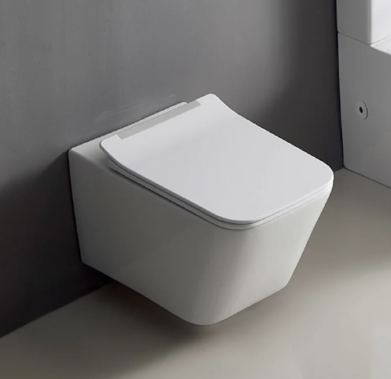Wall Hung Toilet